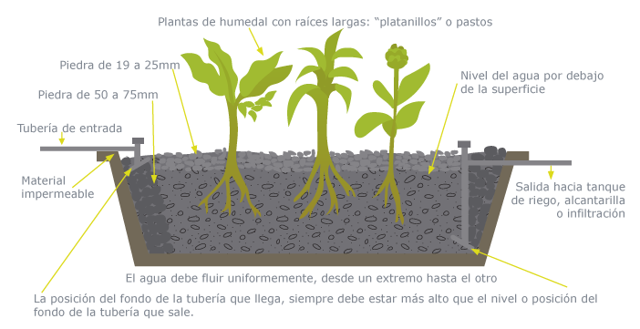 planta1