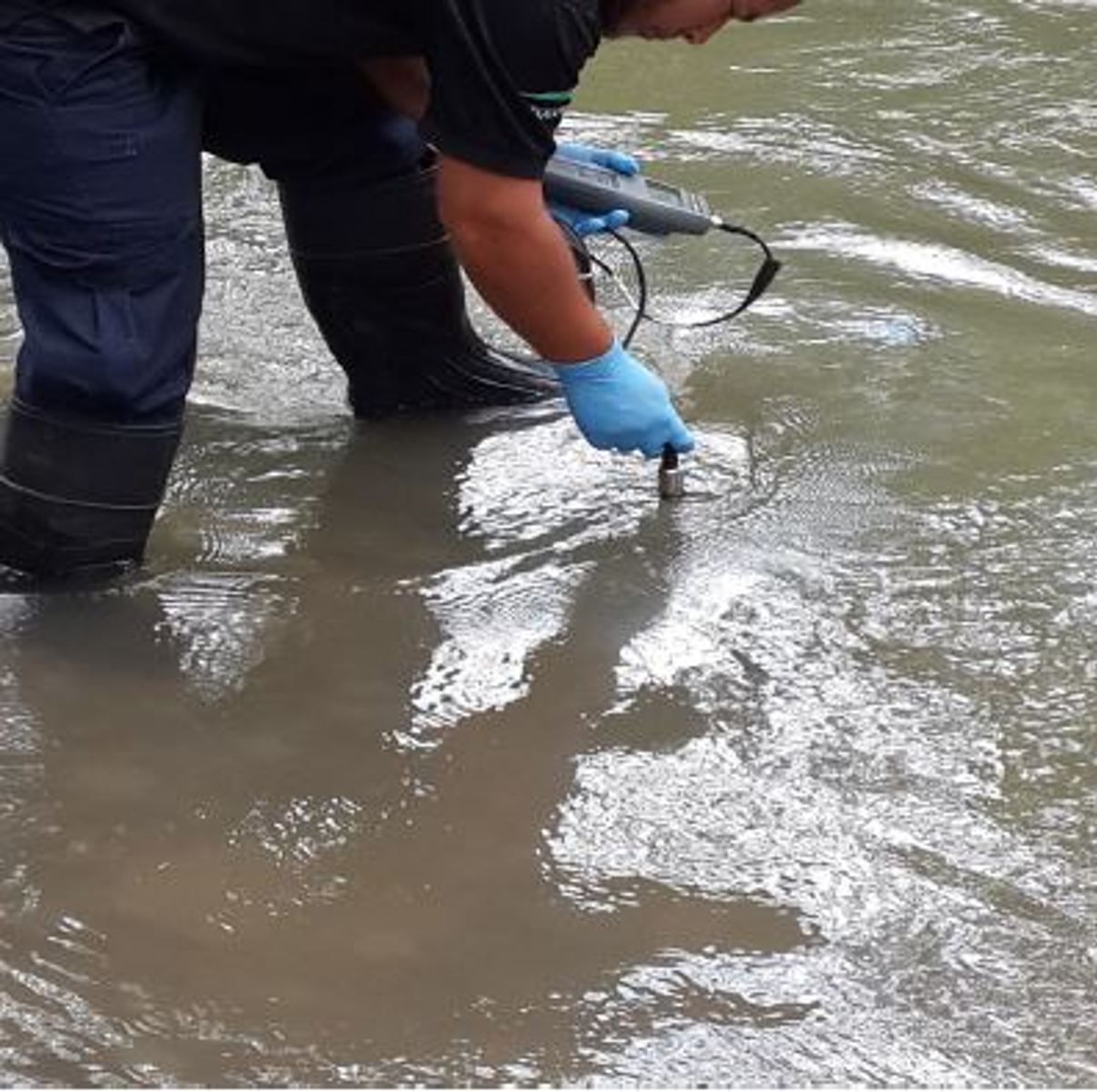 Medición in situ de saturación de oxígeno, por personal de la Unidad de muestreo de CEQIATEC, 2015