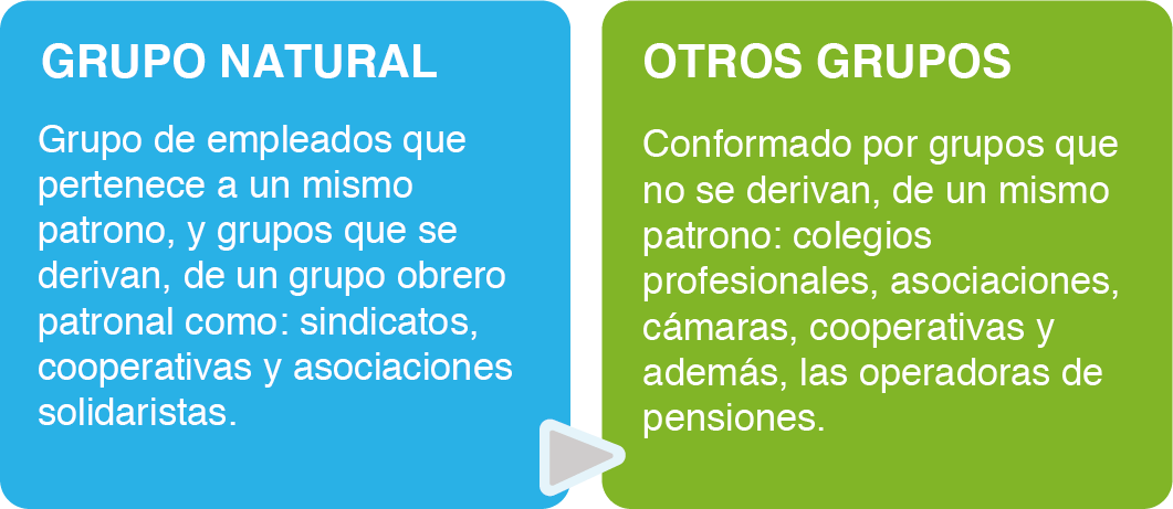 imagen de clasificación de los seguros colectivos