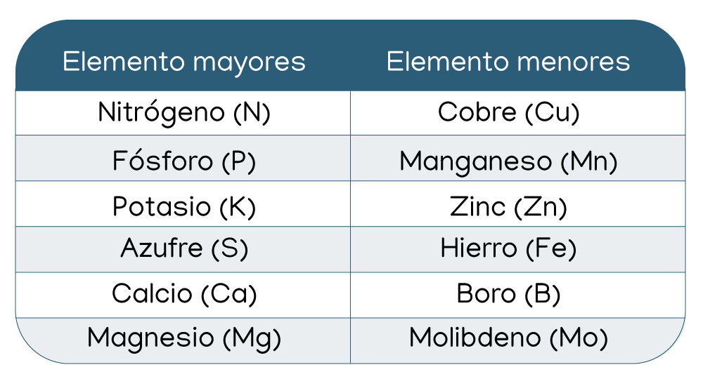 Se muestra un cuadro con los principales nutrientes minerales de las plantas.