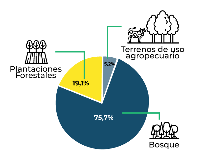 gráfico con los porcentajes que representa cada fuente de abastecimiento de madera en el país.