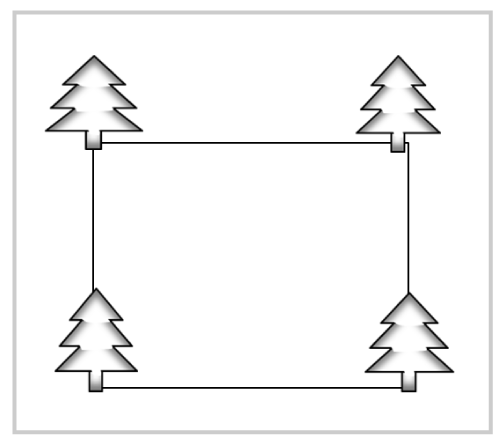 Se muestra el diseño cuadrado de una plantación forestal.