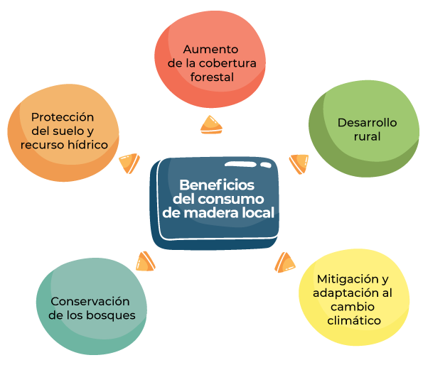 Se muestra una imagen con los beneficios que ofrece la madera local.