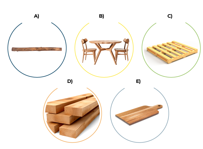 Se muestran los productos derivados de la madera.