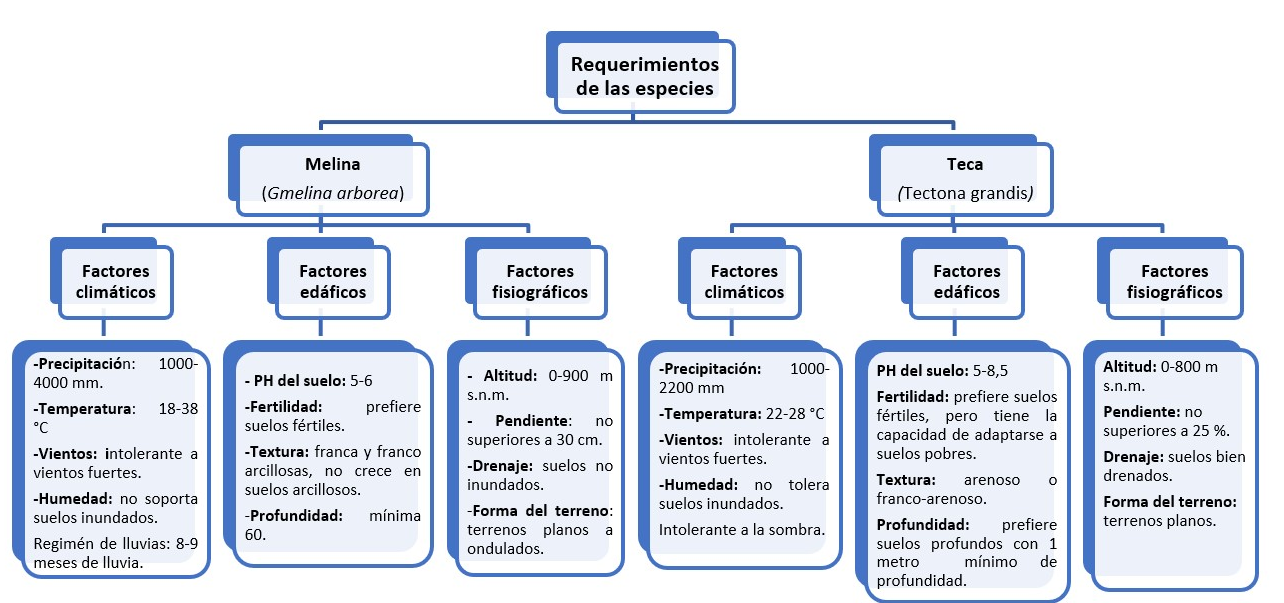 La imagen muestra los requerimientos climáticos, edáficos y fisiográficos de la teca (Tectona grandis) y melina (Gmelina arborea).