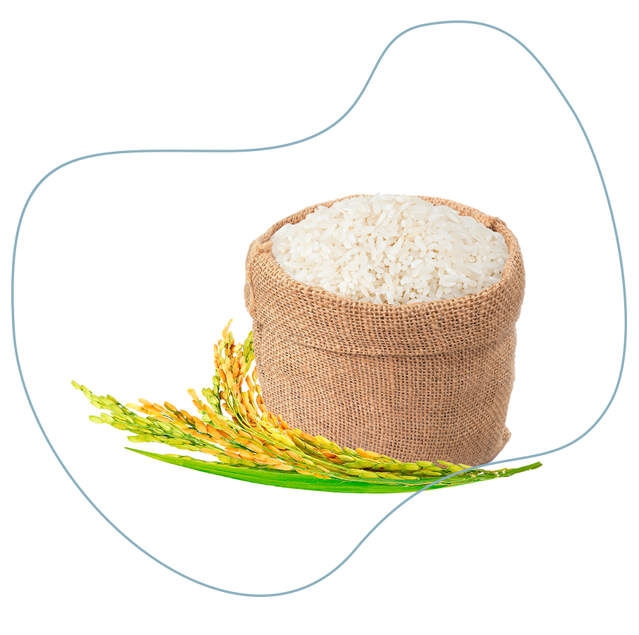 Se observa en la imagen un ejemplo de arroz comercial orgánico