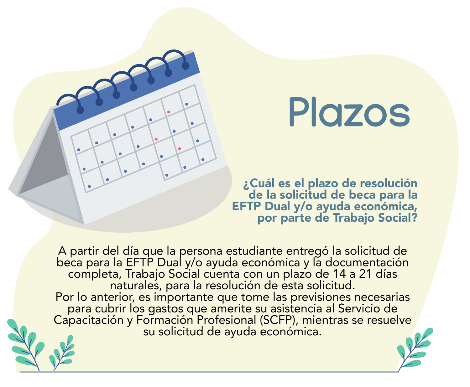 indica los plazos de resolución de becas EFTP