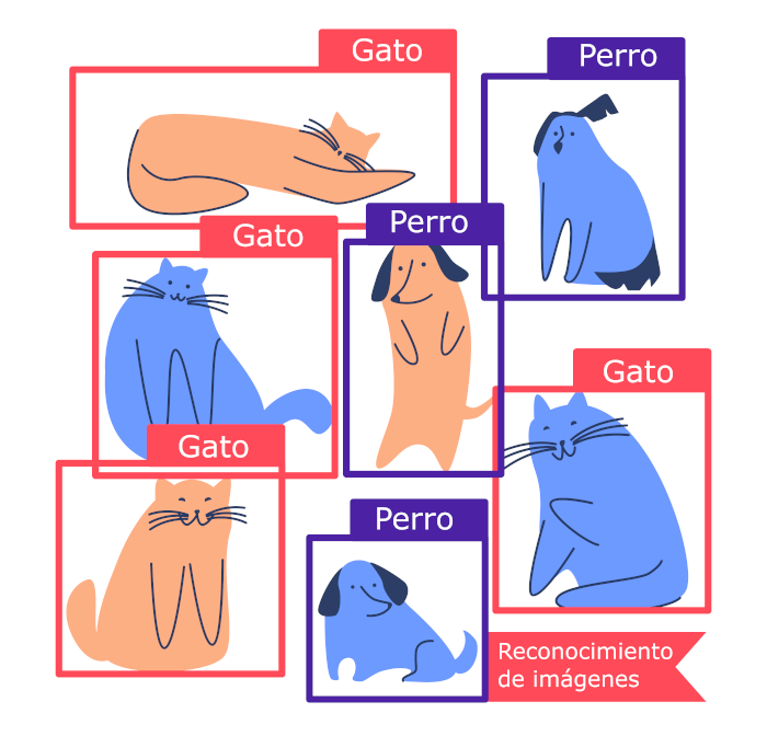 cuadros con diferentes imágenes de perros y gatos con la leyenda: reconocimiento de imágenes