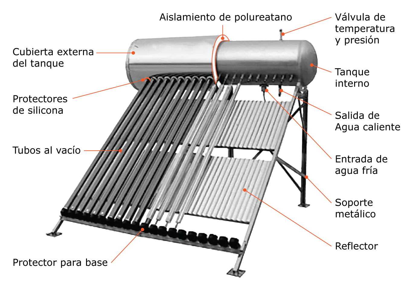 Colector