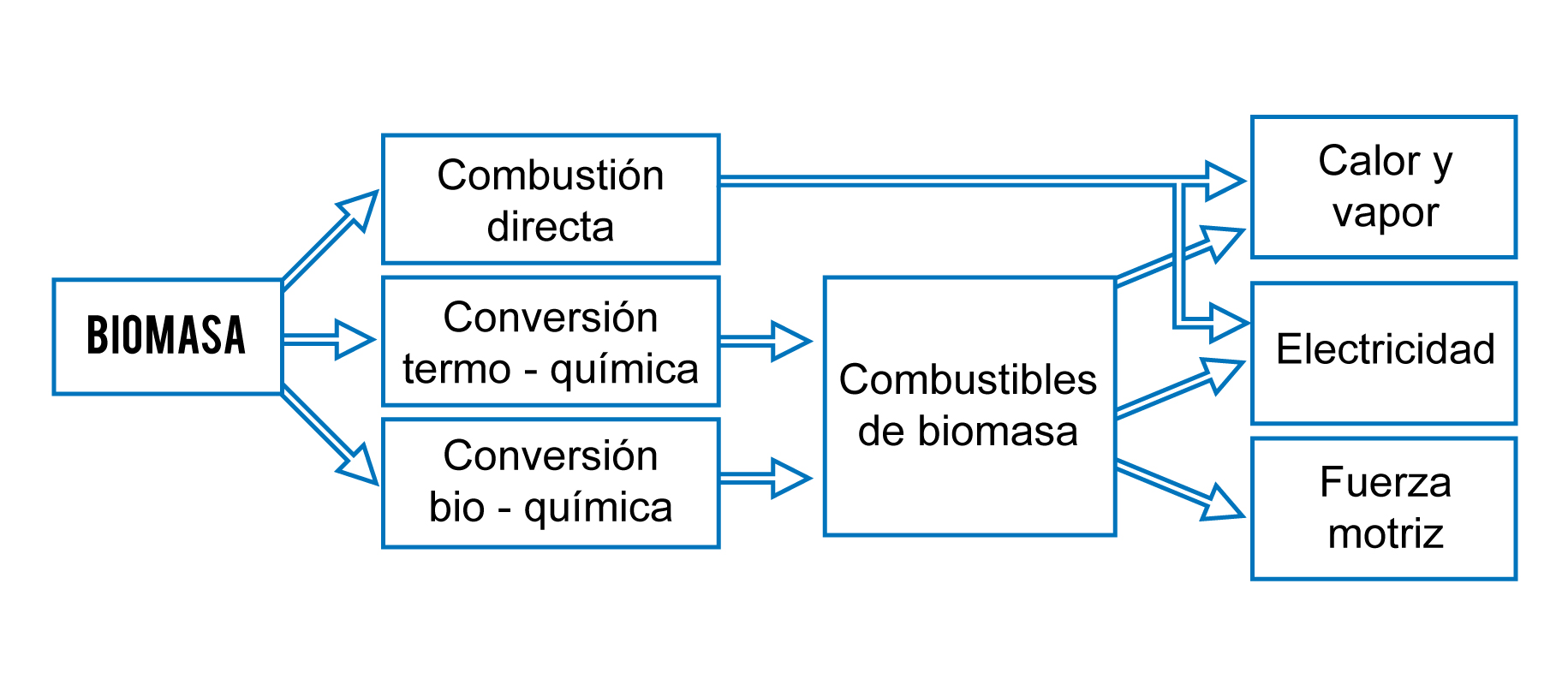Biomasa