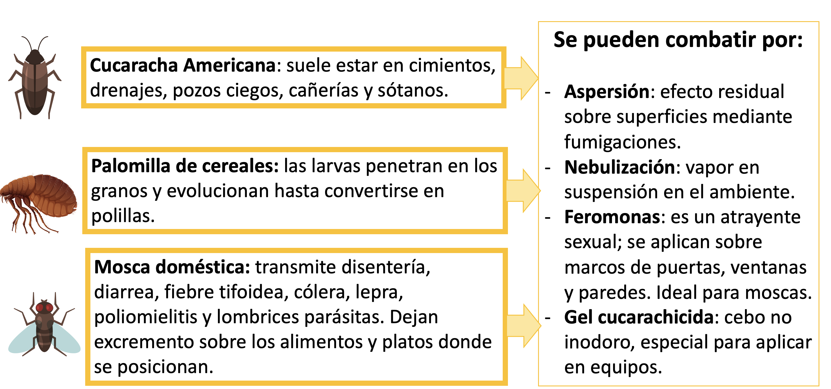 Cucaracha Americana: Suele estar en cimientos, drenajes pozos ciegos, cañerías y sótanos. Palomilla de cereales: las larvas penetran en los granos y evolucionan hasta convertirse en polillas. Mosca doméstica: trasmite disentería, diarrea, fiebre tifoidea, cólera, lepra, poliomelitis y lombrices parásitas. Dejan excremento sobre los alimentos y platos donde se posicionan. Se pueden combatir por: Aspersión: efecto residual sobre superficies mediante fumigaciones. Nebulización: vapor en suspensión el ambiente. Feromonas: es un atrayente sexual se aplican sobre marcos de puertas, ventanas y paredes. Ideal para moscas. Gel cucarachicida: cebo no inodoro, especial para aplicar en equipos.