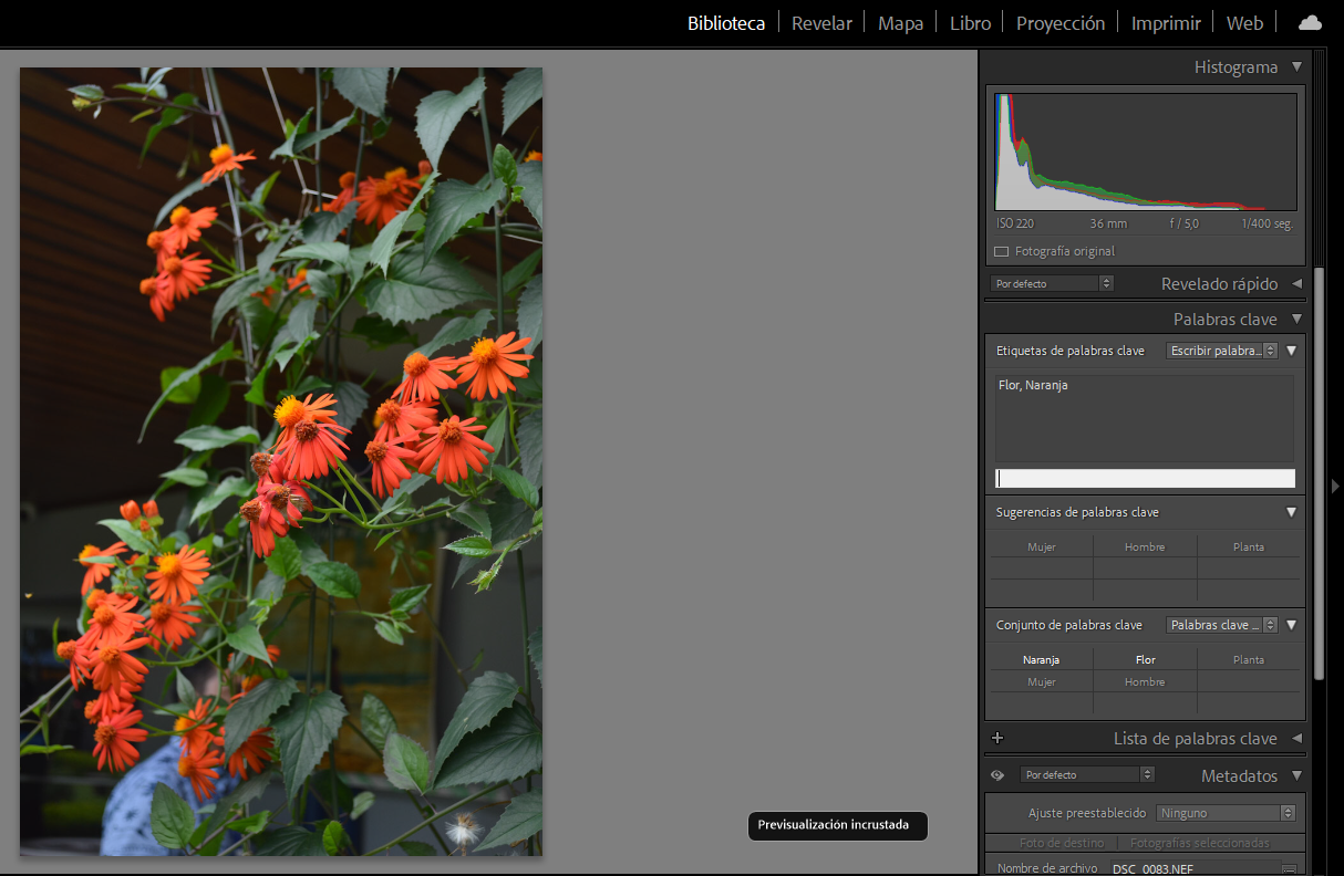 Captura de pantalla en la cual se aprecian los metadatos de una fotografía en Lightroom.
