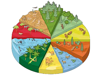 representado por un círculo que cuenta con distintos ecosistemas del mundo separados por colores en forma de triangulo incluyen mar y tierra