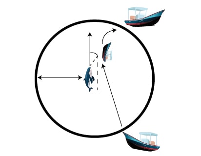representa la distancia que debe estar una embarcación de un cetáceo en este caso es una ballena Jorobada, donde debe tener una distancia de 100 más de distancia entre el barco y la ballena. Y el texto sería Abandono del lugar a baja velocidad cuando se cumplan los 30 minutos de observación
