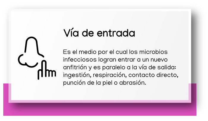 Vía de entrada. Es el medio por el cual los microbios infecciosos logran entrar a un nuevo anfitrión y es paralelo a la vía de salida: ingestión, respiración, contacto directo, punción de la piel o abrasión.