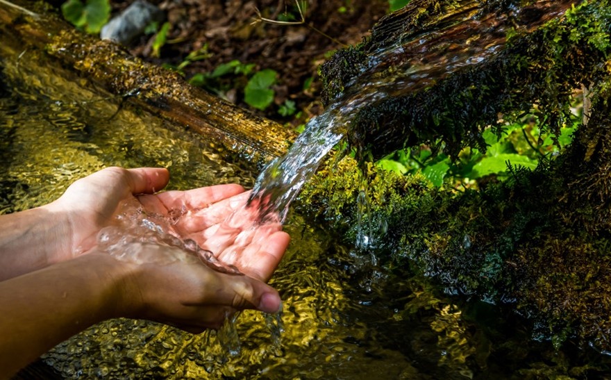 manos que reciben agua en el bosque