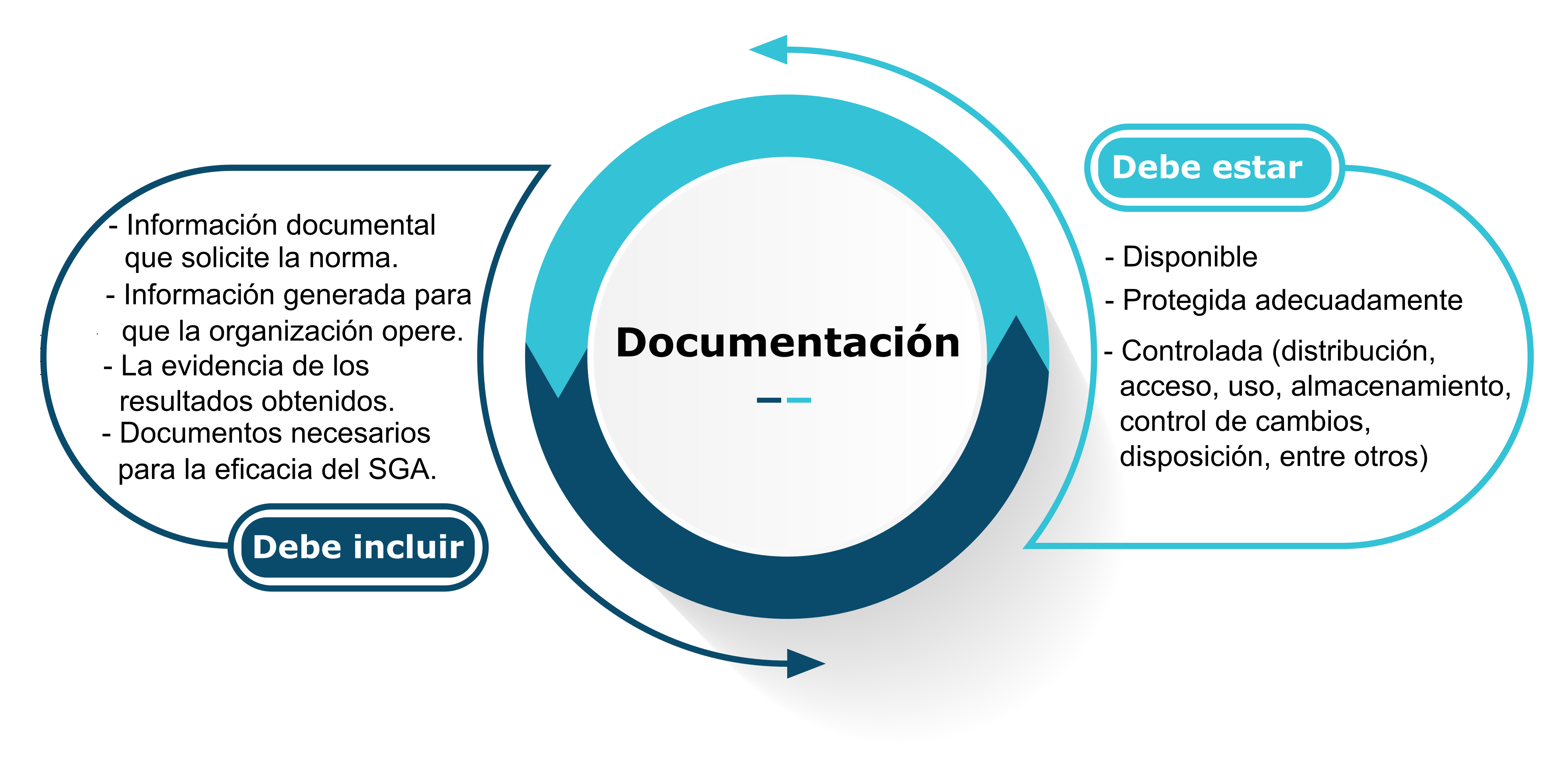 Debe incluir: Información documental que solicite la norma, información generada para que la organización opere, Documentos necesarios para la eficacia del SGA, la evidencia de los resultados obtenidos. Debe estar: Disponible, protegida adecuadamente, Controlada (distribución, acceso, uso, almacenamiento, control de cambios, disposición, entre otros).