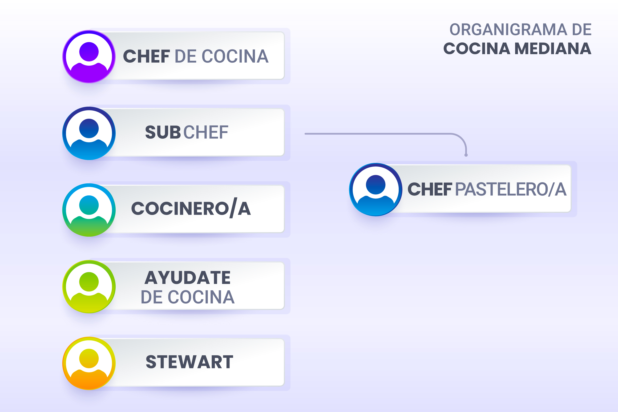 organigrama cocina mediana 