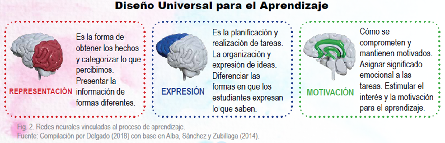 Nombre de imagen: Redes neuronales vinculadas al proceso de aprendizaje. Representación: es la forma de obtener los hechos y categorizar lo que percibimos. Presentar la información de formas diferentes. Expresión: es la planificación y realización de tareas. La reorganización y expresión de ideas. Diferencias las formas en que los estudiantes expresan lo que saben. Motivación: cómo se comprometen y mantienen motivados. Asignar significado emocional a las tareas. Estimular el interés y la motivación para el aprendizaje. 