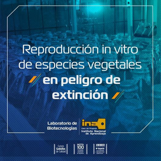 Instituto Nacional de Aprendizaje INA | Página Oficial de Facebook