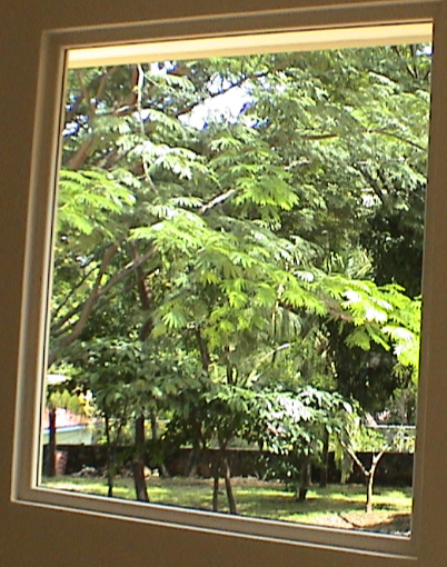 buque