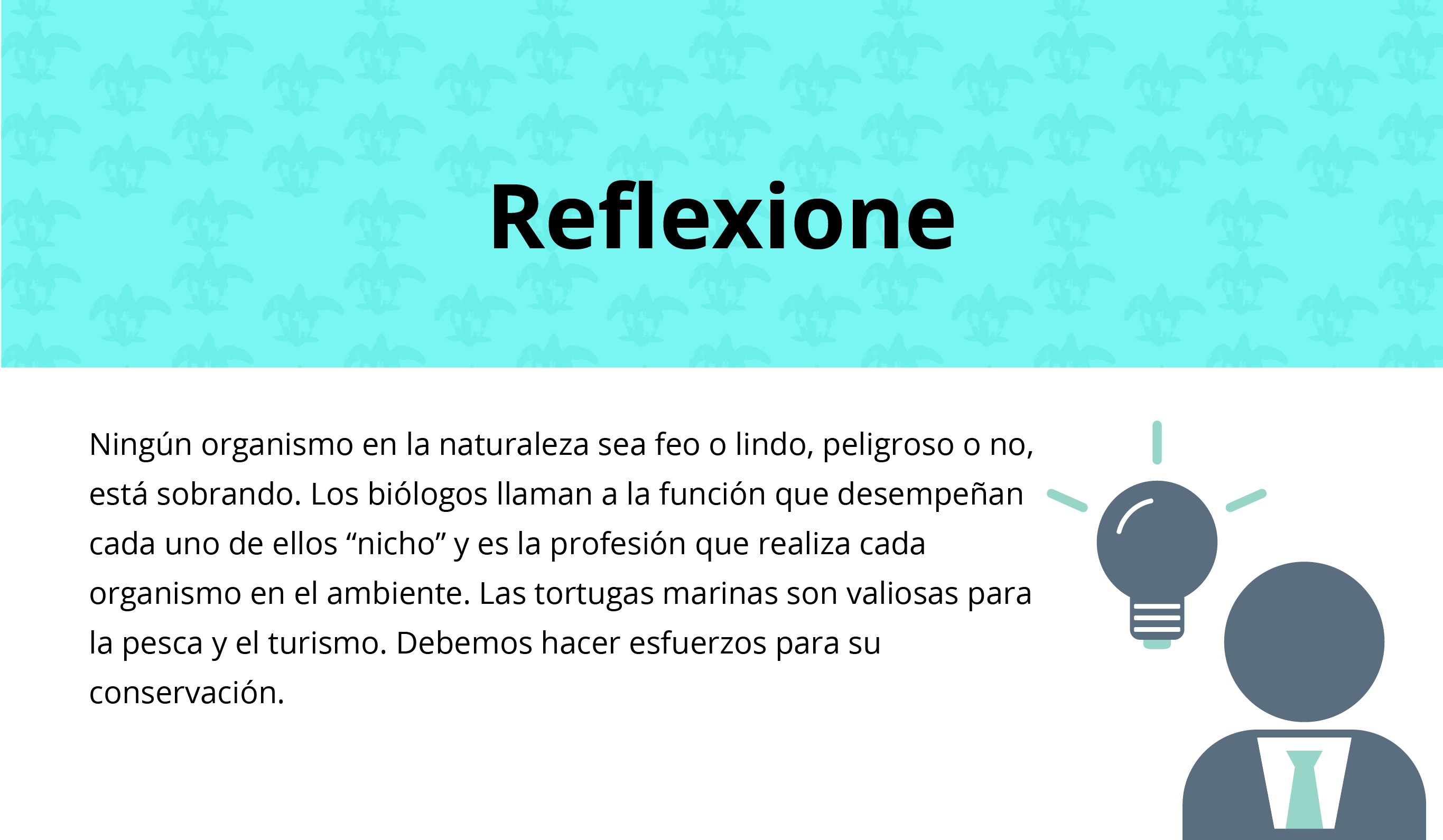 Reflexión