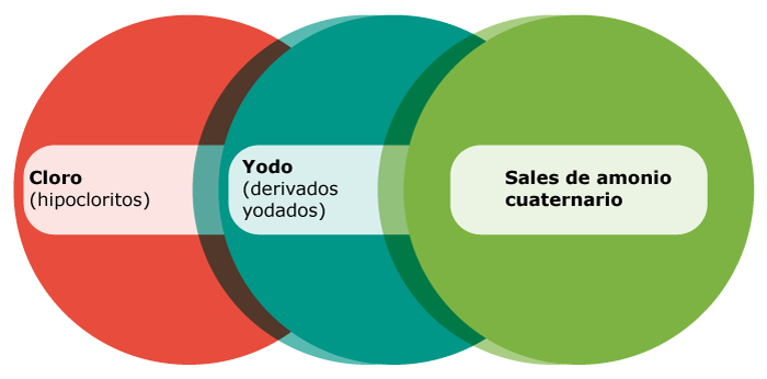 Cloro (hipocloritos), Yodo (derivados yodados), Sales de amonio cuaternario