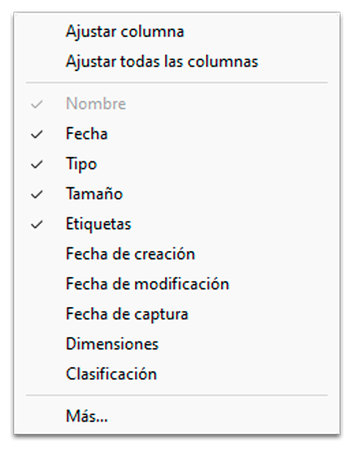 Menú contextual encabezado de columna en panel de contenido con las opciones: Estado, Fecha de modificación, Tipo, Tamaño, Fecha de creación, Autores, Etiquetas, Título y Más…
