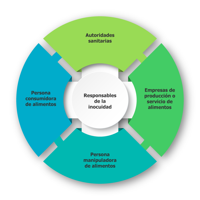 Responsables de la inocuidad: Autoridades sanitarias, Empresas de producción o servicio de alimentos,  Persona manipuladora de alimentos, Persona consumidora de alimentos 